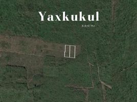  Land for sale in Tixkokob, Yucatan, Tixkokob