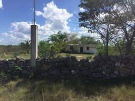  Land for sale in Merida, Yucatan, Merida