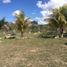  Land for sale in Merida, Yucatan, Merida