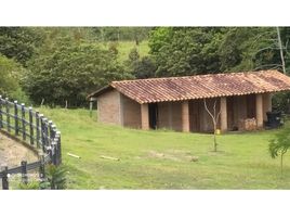  Terreno (Parcela) en venta en Risaralda, Caldas, Risaralda