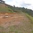  Land for sale in Guarne, Antioquia, Guarne