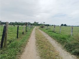  Terreno (Parcela) en venta en Acacias, Meta, Acacias