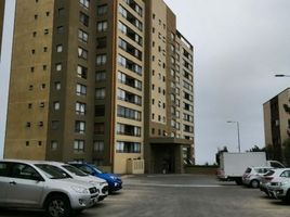2 Habitación Apartamento en venta en Valparaíso, Viña del Mar, Valparaíso, Valparaíso