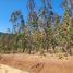  Land for sale in Chile, Pichilemu, Cardenal Caro, Libertador General Bernardo Ohiggins, Chile