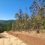  Land for sale in Chile, Pichilemu, Cardenal Caro, Libertador General Bernardo Ohiggins, Chile