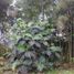 Studio Villa for sale in Quito, Pichincha, Quito, Quito, Pichincha