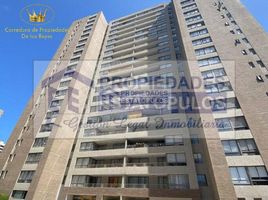 Studio Appartement for rent in Chili, Antofagasta, Antofagasta, Antofagasta, Chili