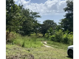  Land for sale in El Higo, San Carlos, El Higo