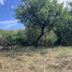  Land for sale in El Higo, San Carlos, El Higo