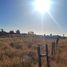  Land for sale in Chile, Maullin, Llanquihue, Los Lagos, Chile