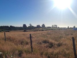  Land for sale in Chile, Maullin, Llanquihue, Los Lagos, Chile