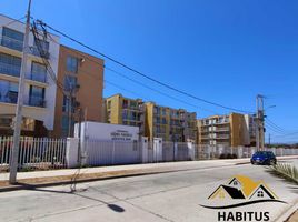 3 Habitación Apartamento en venta en Ter. Buses La Serena, La Serena, Coquimbo