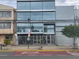 609 SqM Office for rent in Chile, Requinao, Cachapoal, Libertador General Bernardo Ohiggins, Chile