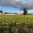  Terreno (Parcela) en venta en Los Lagos, Entre Lagos, Osorno, Los Lagos
