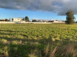  Terreno (Parcela) en venta en Los Lagos, Entre Lagos, Osorno, Los Lagos
