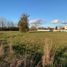  Terreno (Parcela) en venta en Los Lagos, Entre Lagos, Osorno, Los Lagos