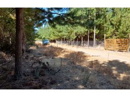  Terreno (Parcela) en venta en Chile, Chepica, Colchagua, Libertador General Bernardo O'Higgins, Chile