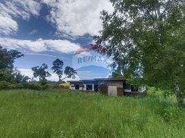  Terreno (Parcela) en venta en Chile, Lanco, Valdivia, Los Ríos, Chile