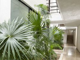Condominium 2 chambre à louer à Merida, Yucatan, Merida, Yucatan