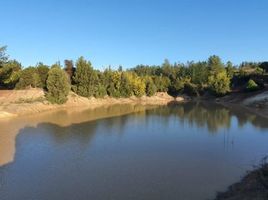  Terreno (Parcela) en venta en Cardenal Caro, Libertador General Bernardo O'Higgins, Pichilemu, Cardenal Caro