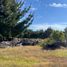  Terreno (Parcela) en venta en Cardenal Caro, Libertador General Bernardo O'Higgins, Pichilemu, Cardenal Caro