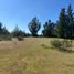  Terreno (Parcela) en venta en Cardenal Caro, Libertador General Bernardo O'Higgins, Pichilemu, Cardenal Caro