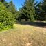  Terreno (Parcela) en venta en Cardenal Caro, Libertador General Bernardo O'Higgins, Pichilemu, Cardenal Caro