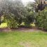  Land for sale in Chile, Pirque, Cordillera, Santiago, Chile