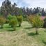  Land for sale in Melipilla, Santiago, Melipilla, Melipilla