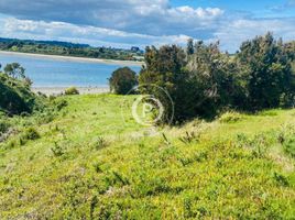  Terreno (Parcela) en venta en Los Lagos, Quemchi, Chiloé, Los Lagos