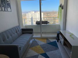2 Schlafzimmer Appartement zu vermieten in Chile, Coquimbo, Elqui, Coquimbo, Chile