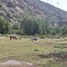  Land for sale in Los Andes, Valparaiso, Los Andes, Los Andes