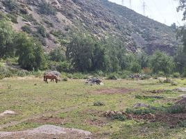 Terreno (Parcela) en venta en Valparaíso, Los Andes, Los Andes, Valparaíso