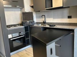 1 Bedroom Condo for rent in Pirque, Cordillera, Pirque
