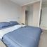 2 Habitación Apartamento en alquiler en Colegio Alonso de Ercilla, La Serena, Coquimbo