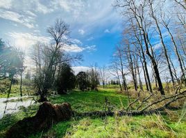  Land for sale in Chile, Purranque, Osorno, Los Lagos, Chile