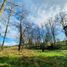  Land for sale in Chile, Purranque, Osorno, Los Lagos, Chile