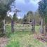  Land for sale in Cochamo, Los Lagos, Cochamo