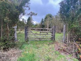  Terrain for sale in Llanquihue, Los Lagos, Cochamo, Llanquihue