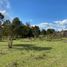 Terrain for sale in Llanquihue, Los Lagos, Cochamo, Llanquihue