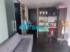 1 Habitación Apartamento en venta en Cerro San Cristóbal, Santiago, Puente Alto, Cordillera