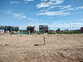  Terreno (Parcela) en venta en Neuquen, Confluencia, Neuquen