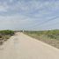  Grundstück zu verkaufen in Chicxulub Pueblo, Yucatan, Chicxulub Pueblo