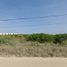  Grundstück zu verkaufen in Chicxulub Pueblo, Yucatan, Chicxulub Pueblo