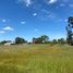  Terreno (Parcela) en venta en Chile, Chillan, Diguillín, Ñuble, Chile