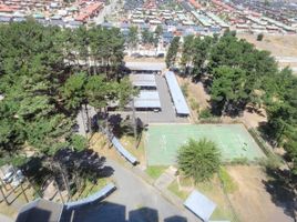 3 Habitación Apartamento en venta en Concepción, Biobío, Coronel, Concepción