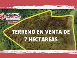  Grundstück zu verkaufen in Petatlan, Guerrero, Petatlan