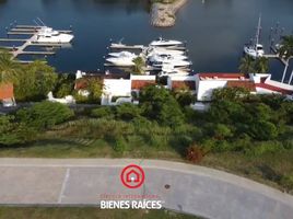  Terreno (Parcela) en venta en Jose Azueta, Guerrero, Jose Azueta