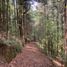  Land for sale in Jilotzingo, Mexico, Jilotzingo