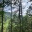  Land for sale in Jilotzingo, Mexico, Jilotzingo